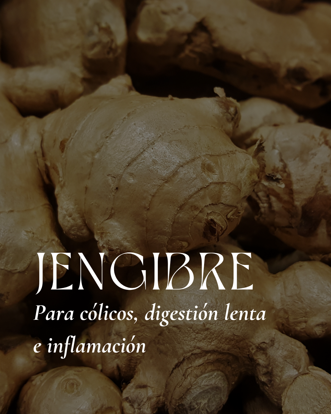 Jengibre: Materia Médica & Receta