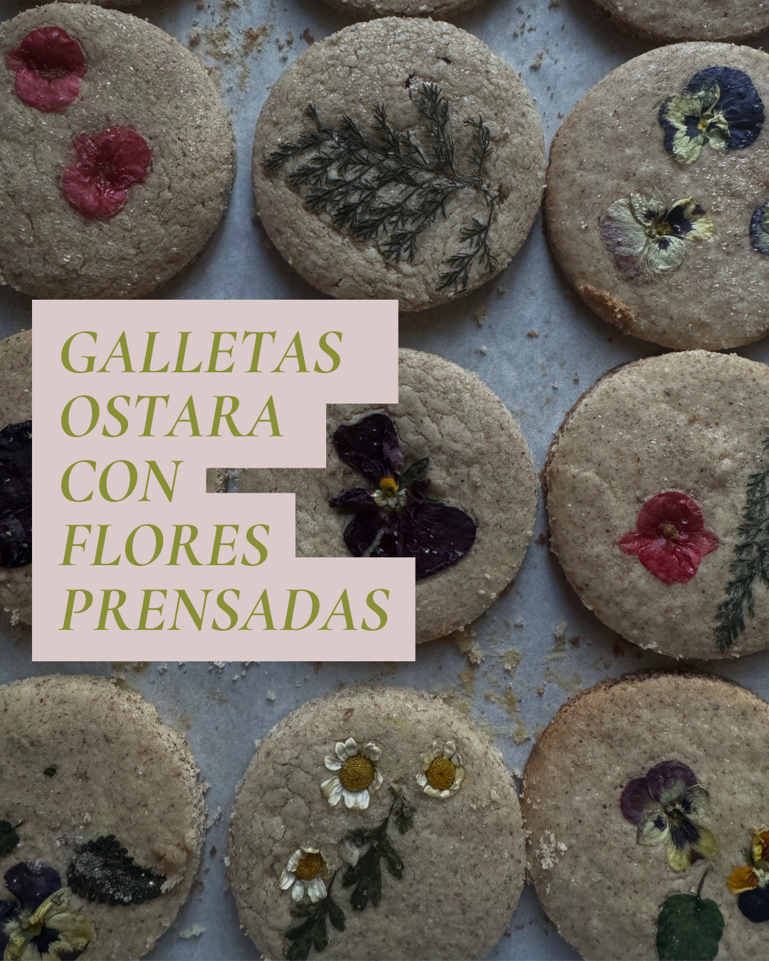 GALLETAS FLORALES DE OSTARA