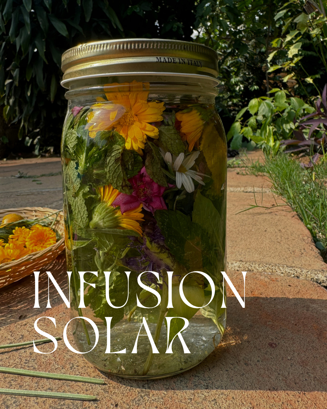 infusion solar hierbas liliana ruiz healy