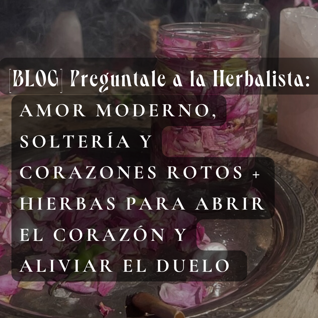 AMOR MODERNO, SOLTERÍA Y CORAZONES ROTOS + HIERBAS PARA ABRIR EL CORAZÓN Y ALIVIAR EL DUELO + CONSEJO DE LA HERBALISTA