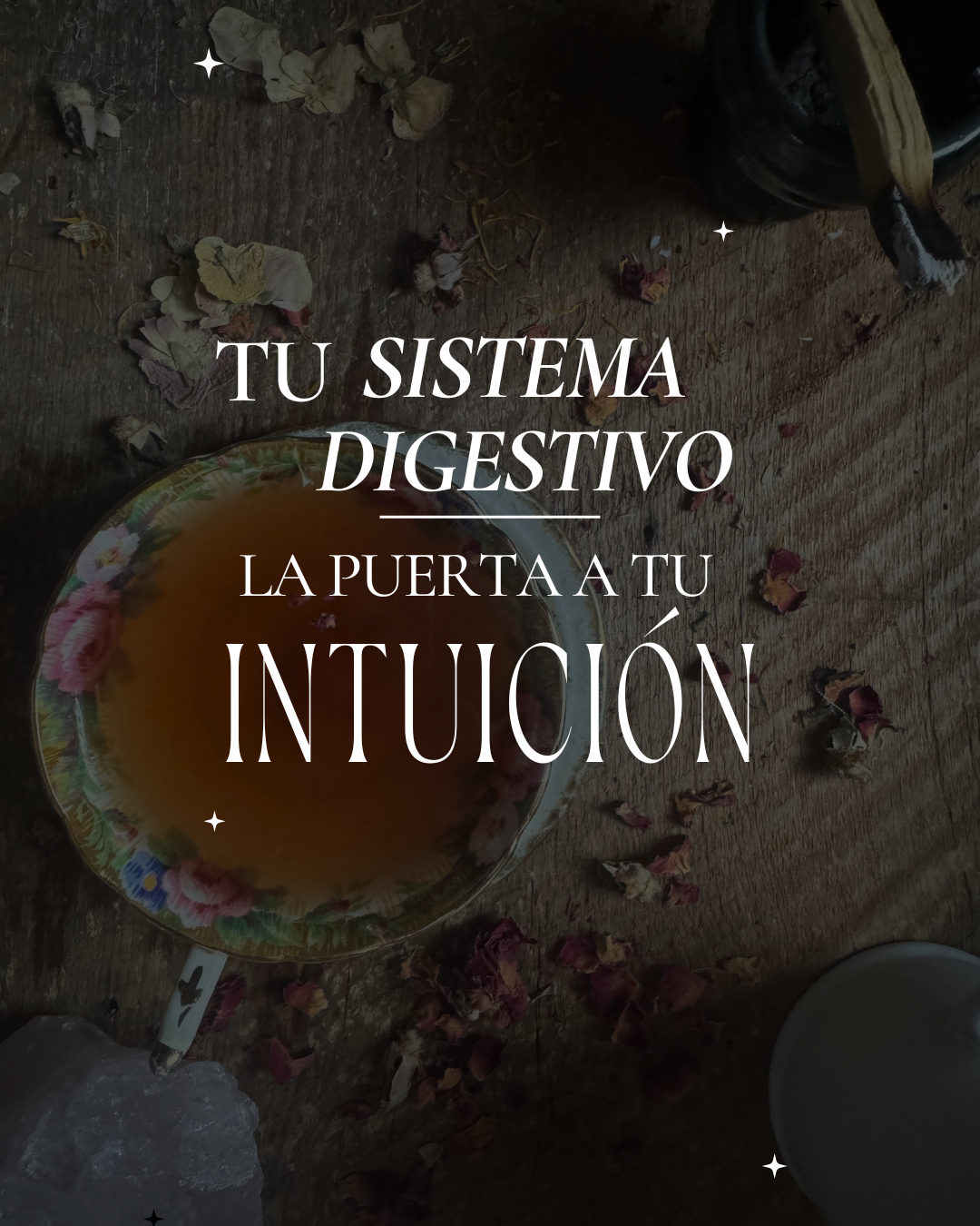sistemadigestivo intuicion liliana ruiz healy 