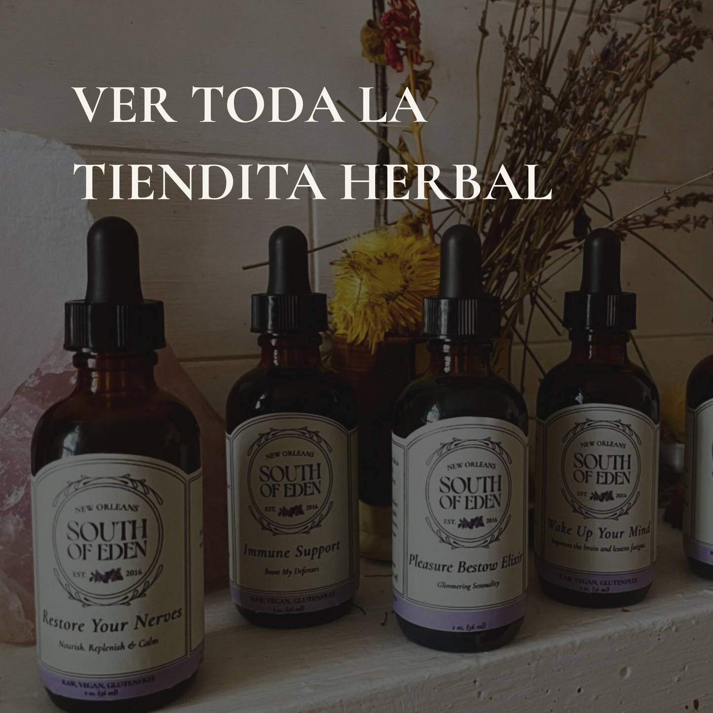 Tiendita Herbal | Explora todos los Productos y Servicios