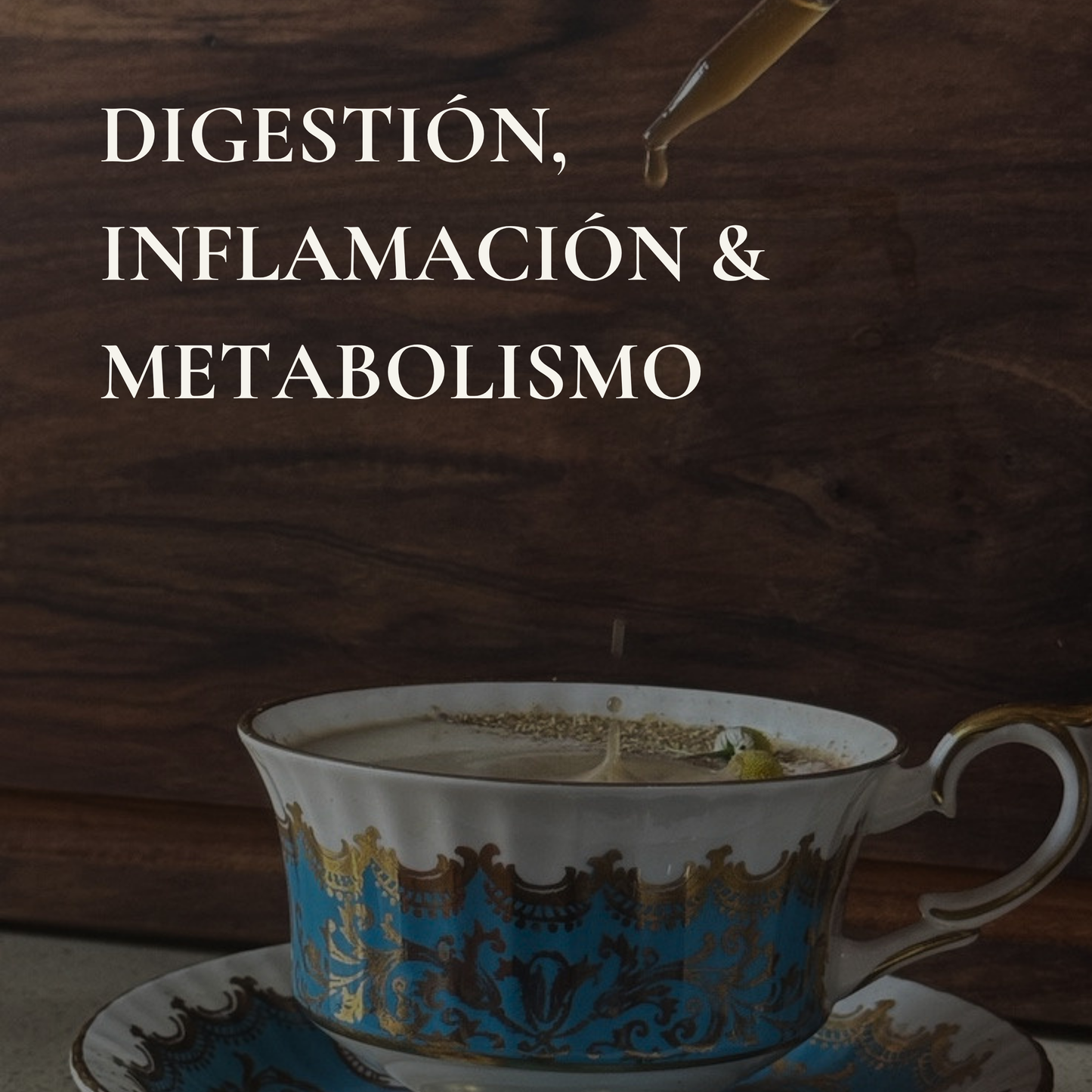 Digestión, Inflamación y Metabolismo | Herbolaria para la Salud Digestiva