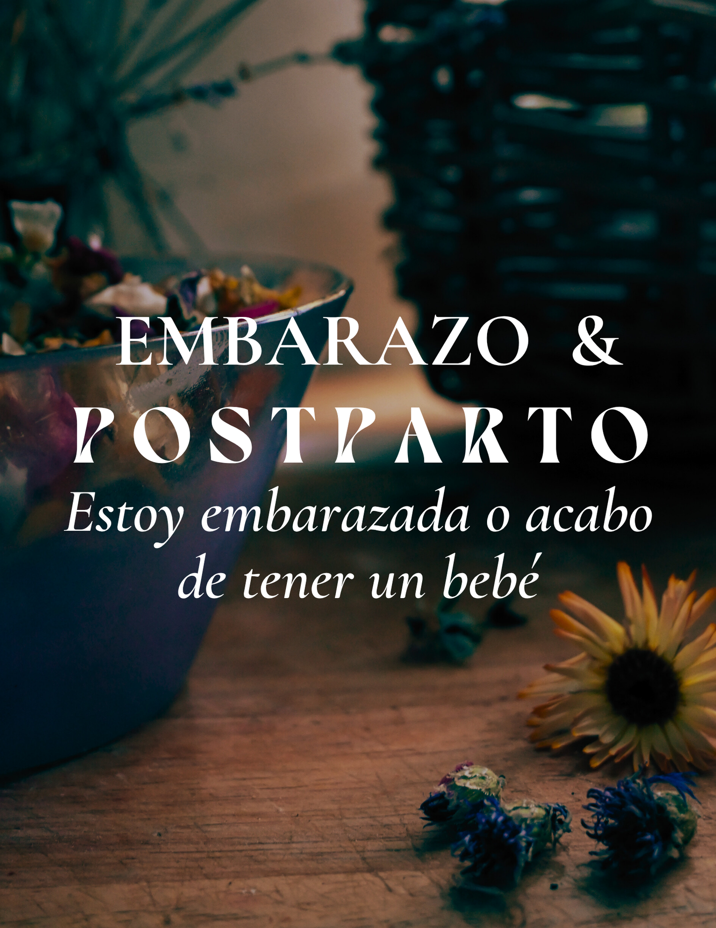 Consulta Embarazo & Postparto