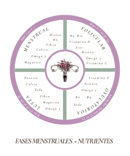 Alimentación Ciclica: Tu guía completa de hierbas, alimentos & fases de tu ciclo
