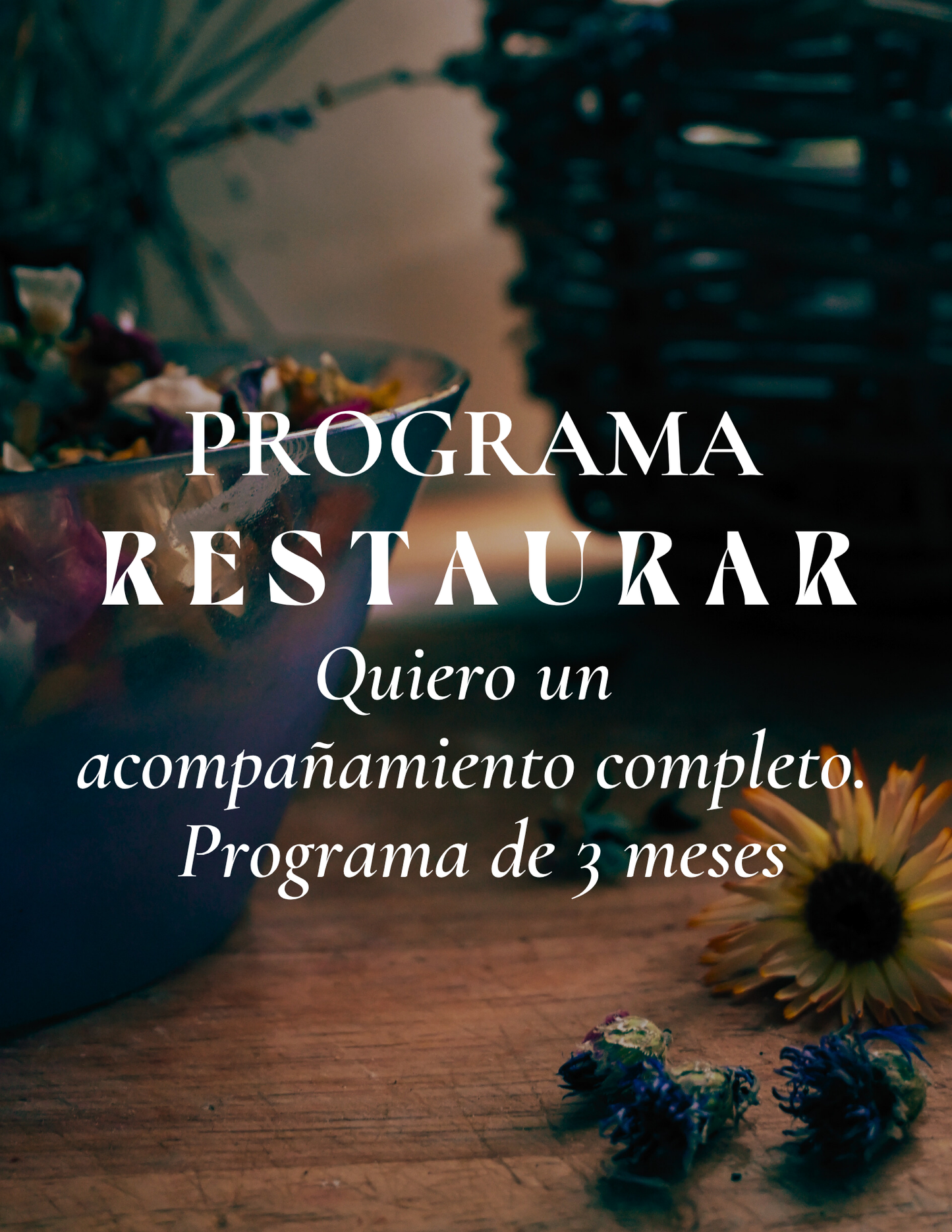 Programa Restaurar | Acompañamiento de 3 Meses